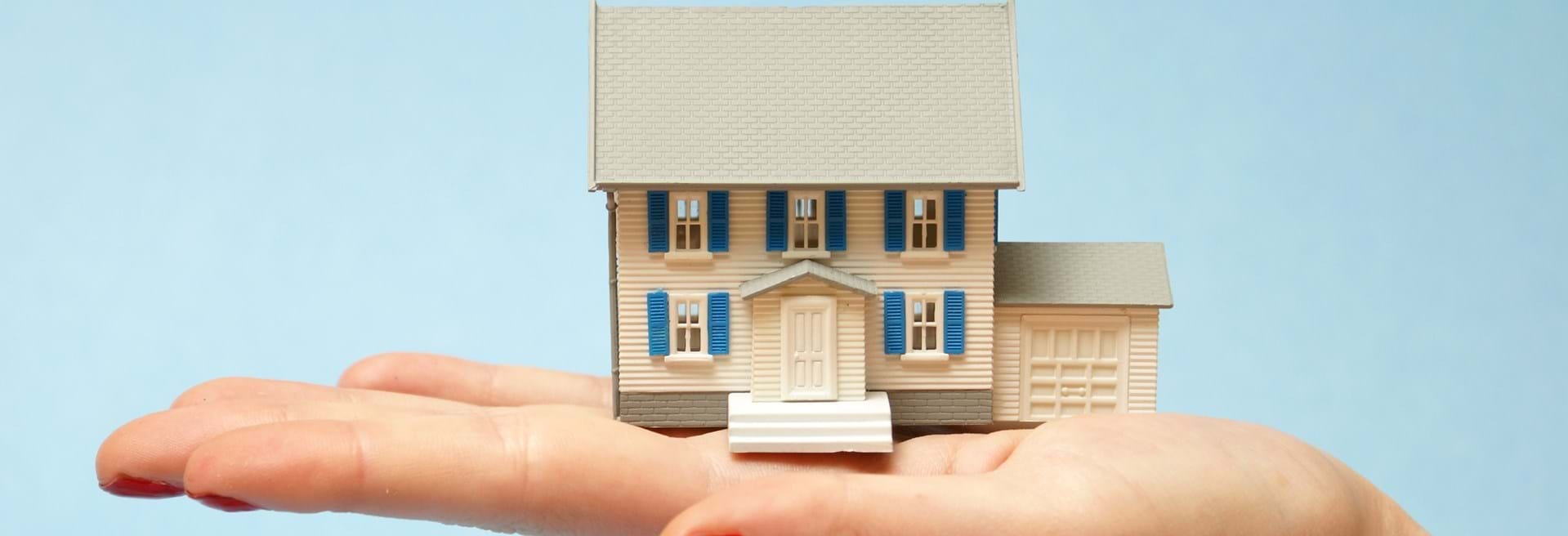 PROJECT MANAGEMENT FOR